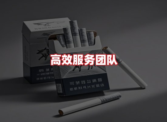 专业团队